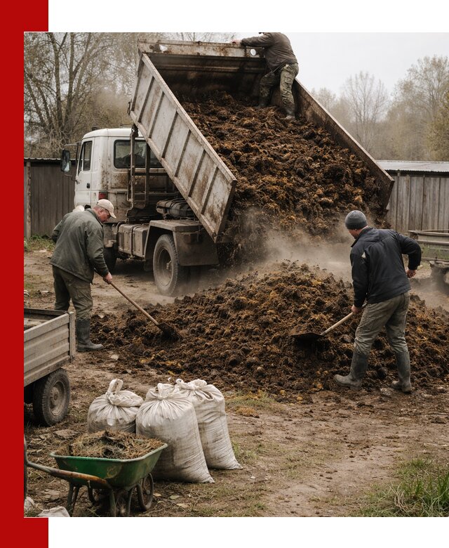 Доставка коровьего навоза самосвалом в Инте